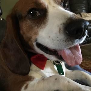 Meet your Posher, Brenda